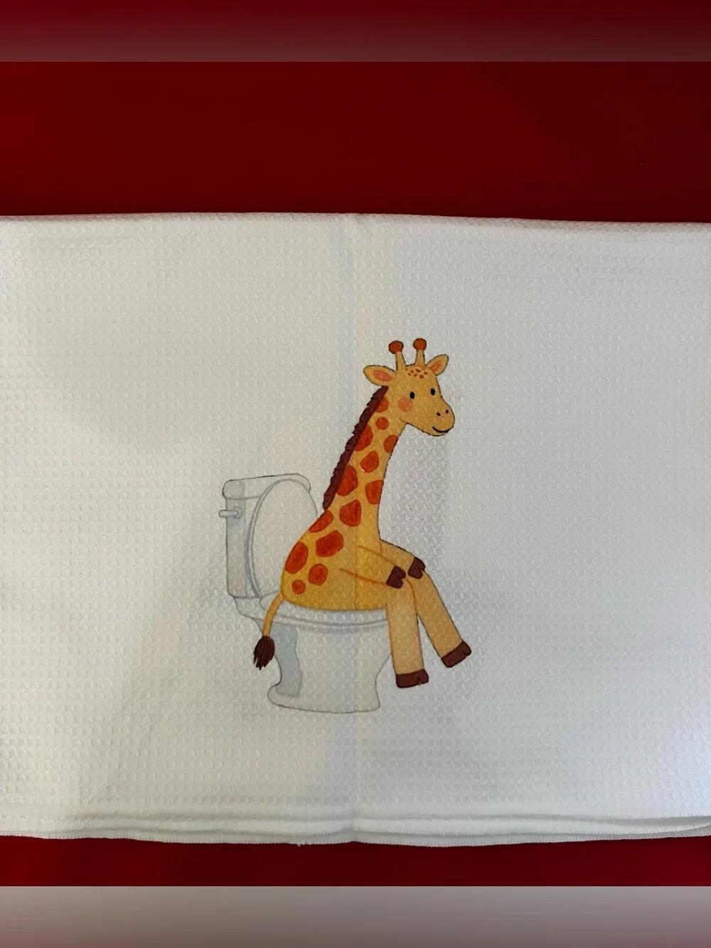 Baby Giraffe Hand Towel Set